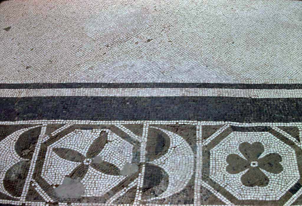 III.19/18/1, Herculaneum, 7th August 1976. Room 23, detail of mosaic threshold.
Photo courtesy of Rick Bauer, from Dr George Fay’s slides collection.